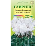 Цикламен махровый Восторг белый /3 семечка/ *Гавриш*
