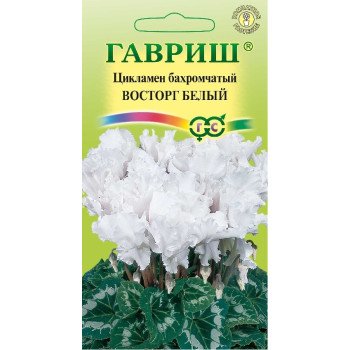 Цикламен махровый Восторг белый /3 семечка/ *Гавриш*