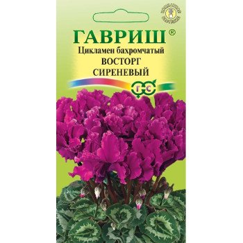 Цикламен махровый Восторг сиреневый /3 семечка/ *Гавриш*