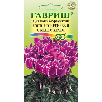 Цикламен махровый Восторг сиреневый с белым краем /3 семечка/ *Гавриш*