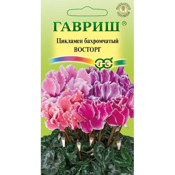 Насіння цикламена махрового Восторг суміш /3 насінини/ *Гавриш*