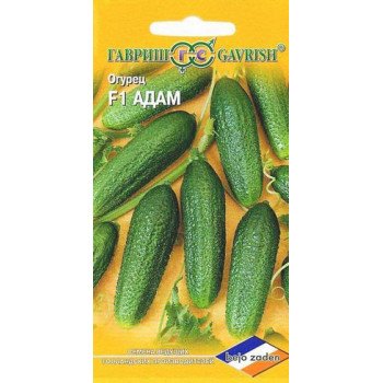 Огурец Адам F1 /5 семян/ *Гавриш*