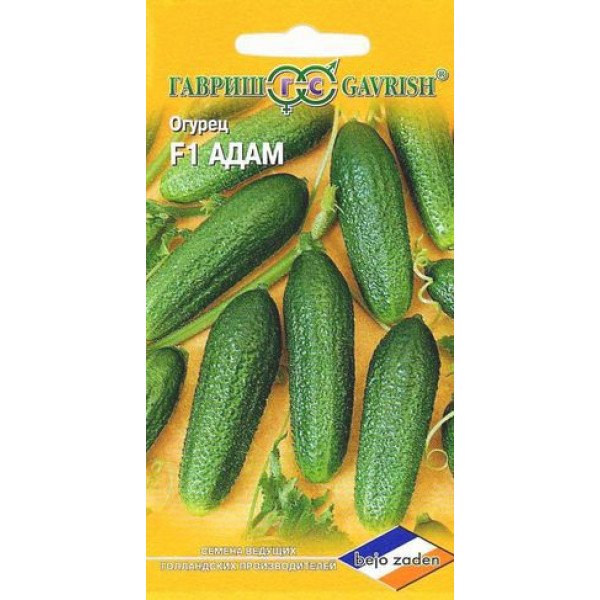 Насіння огірка Адам F1 /5 насінин/ *Гавриш*