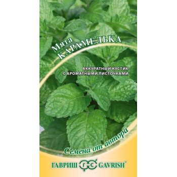 Мята Карамелька /0,05 г/ *Гавриш*
