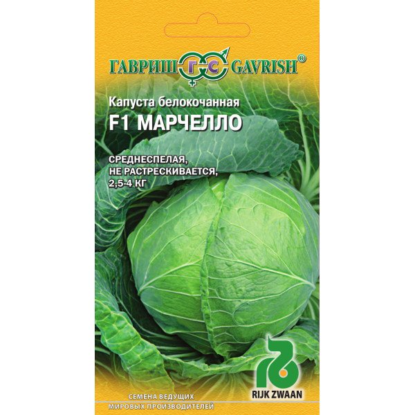 Насіння капусти білоголової Марчелло F1 /10 насінин/ *Гавриш*