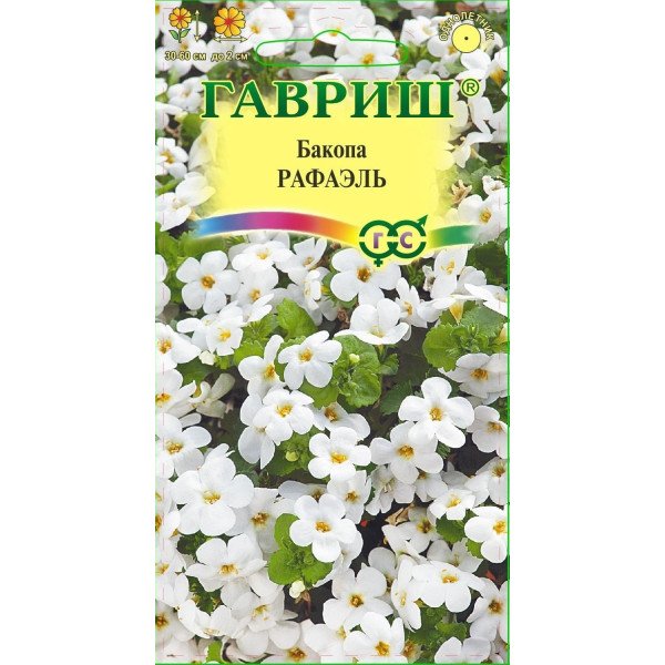 Семена бакопы Рафаэль /3 семечка/ *Гавриш*