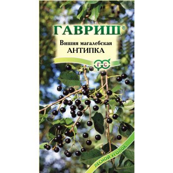 Вишня махалебская Антипка /1 г/ *Гавриш*