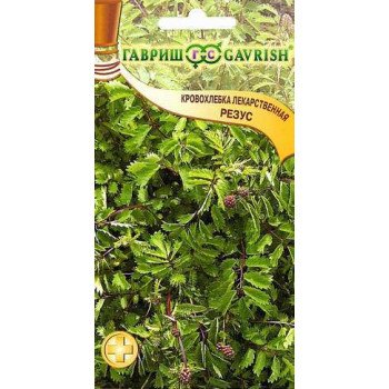 Кровохлёбка Резус /0,5 г/ *Гавриш*