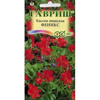 Кассия Феникс яванская /3 семечка/ *Гавриш*