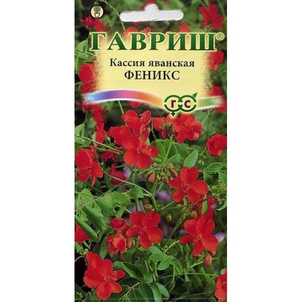 Насіння касії Фенікс яванська /3 насінини/ *Гавриш*