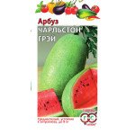 Арбуз Чарльстон Грей /1 г/ *Гавриш*