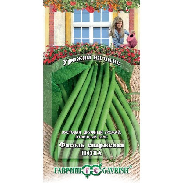 Семена фасоли Нота /5 г/ *Гавриш*