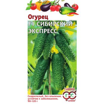Огурец Сибирский F1 экспресс /10 семян/ *Гавриш*