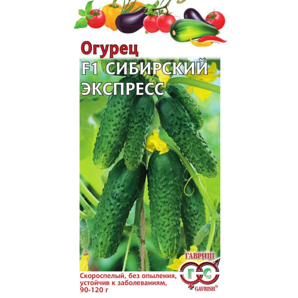 Семена огурца Сибирский F1 экспресс /10 семян/ *Гавриш*