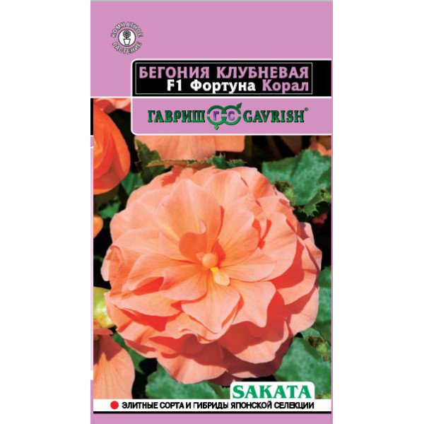 Насіння бегонія Фортуна F1 корал /4 насінини/ *Гавриш*