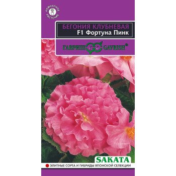 Бегонія Фортуна F1 пінк /4 насінини/ *Гавриш*