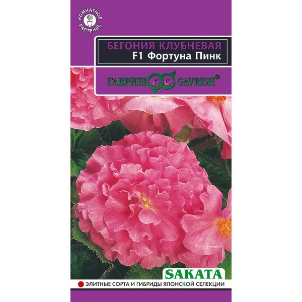 Насіння бегонія Фортуна F1 пінк /4 насінини/ *Гавриш*