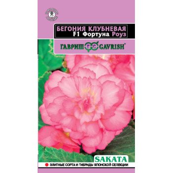Бегонія Фортуна F1 роуз /4 насінини/ *Гавриш*