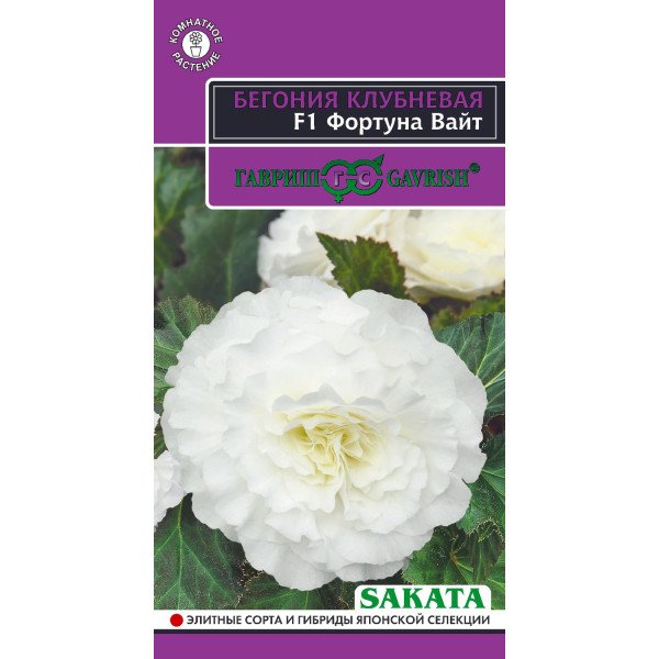 Насіння бегонія Фортуна F1 вайт /4 насінини/ *Гавриш*