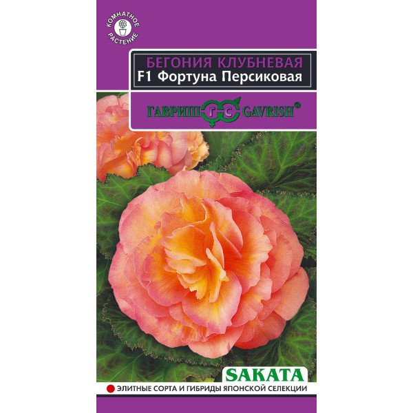 Насіння бегонія Фортуна F1 персикова /4 насінини/ *Гавриш*