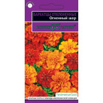 Бархатцы Огненный шар /5 семян/ *Гавриш*