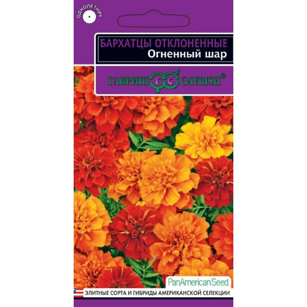 Бархатцы Огненный шар /5 семян/ *Гавриш*