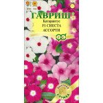 Катарантус Сиеста F1 ассорти /7 семян/ *Гавриш*