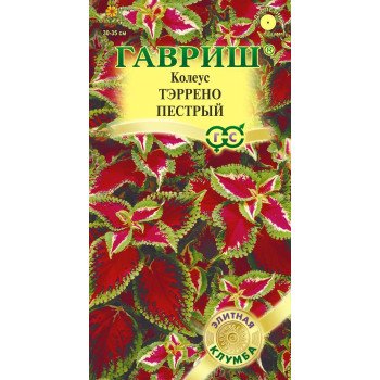 Колеус Тэррено пестрый /5 семян/ *Гавриш*