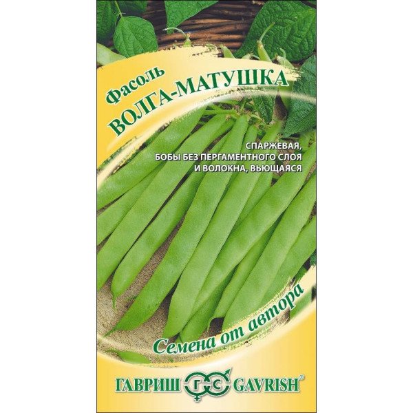 Семена фасоли Волга-матушка /5 г/ *Гавриш*