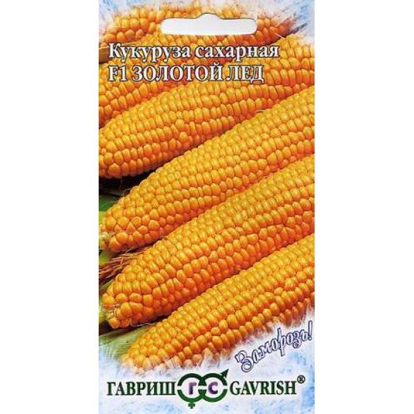 Насіння кукурудзи цукрової Золотий лід F1 /5 г/ *Гавриш*