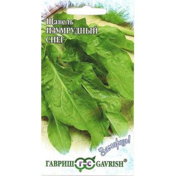 Щавель Изумрудный снег /1 г/ *Гавриш*