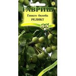 Гинкго билоба Реликт /2 семечка/ *Гавриш*