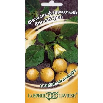 Физалис Филантроп /20 семян/ *Гавриш*