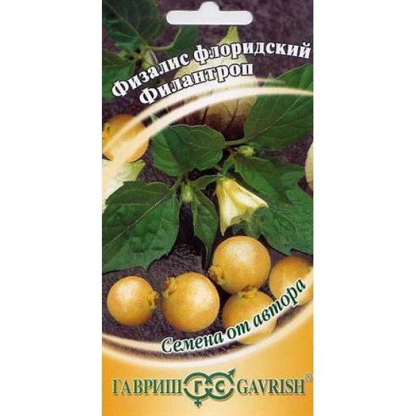 Семена физалиса Филантроп /20 семян/ *Гавриш*