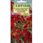 Делонікс королівський Вогняна парасолька /3 насінини/ *Гавриш*