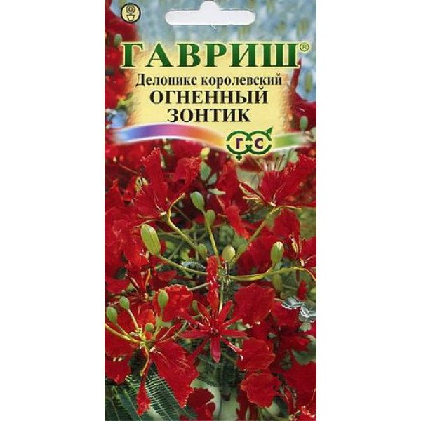 Семена делоникс королевский Огненный зонтик /3 семечка/ *Гавриш*