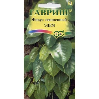 Фикус священный Эдем /0,03 г/ *Гавриш*