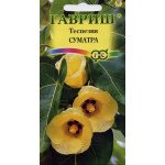 Теспезия Суматра /3 семечка/ *Гавриш*