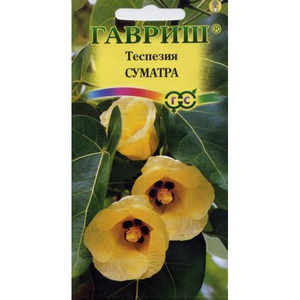 Семена теспезии Суматра /3 семечка/ *Гавриш*