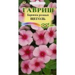 Барвінок (катарантус) рожевий Щеголь /0,05 г/ *Гавриш*