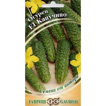 Огурец Капучино F1 /10 семян/ *Гавриш*