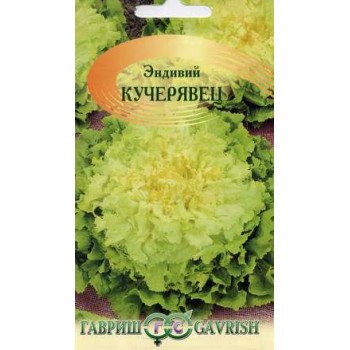 Цикорный салат эндивий Кучерявец /0,1 г/ *Гавриш*