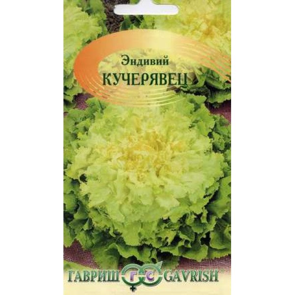 Насіння цікорного салату ендивій Кучерявець /0,1 г/ *Гавриш*