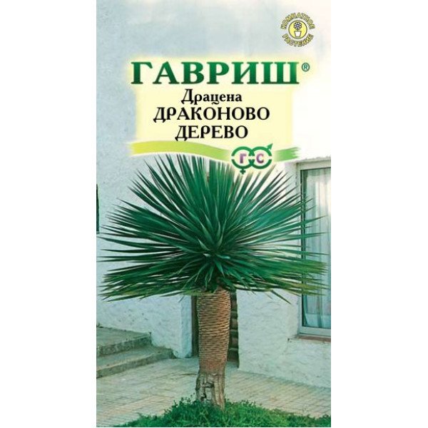 Насіння драцени Драконове Дерево /3 насінин/ *Гавриш*