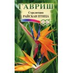 Стрелиция Райская Птица /3 семечка/ *Гавриш*
