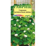 Спармания комнатная Липка /3 семечка/ *Гавриш*