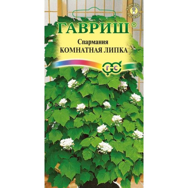 Насіння спарманії кімнатної Липка /3 насінин/ *Гавриш*