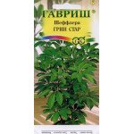 Шеффлера Грін Стар /3 насінин/ *Гавриш*