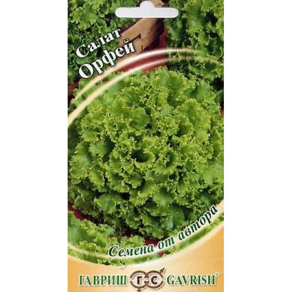 Семена салата Орфей /1 г/ *Гавриш*