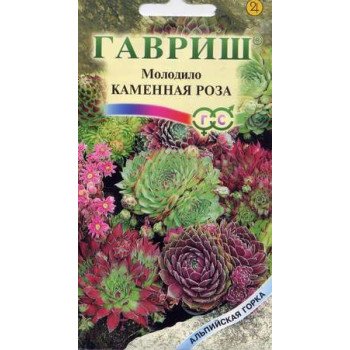 Молодило Каменная Роза /0,01 г/ *Гавриш*